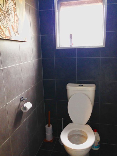 XYL Pets Friendly Seaside Boutique Guesthouse - Sydney Tourism 5
