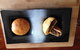 XYL Pets Friendly Seaside Boutique Guesthouse - thumb 36