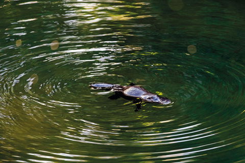 Riviera Mackay - Sydney Tourism 15