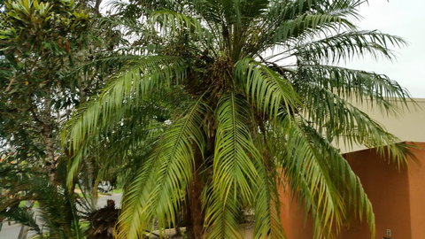 Hepburn Holiday Haven - Sydney Tourism 26