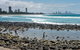 Oceania On Burleigh Beach - thumb 42