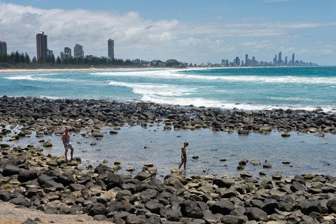 Oceania On Burleigh Beach - Sydney Tourism 42