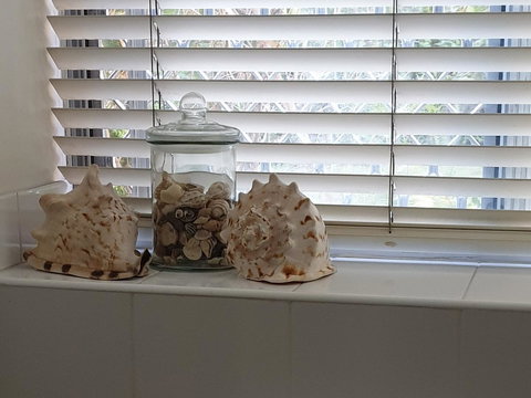 Oceania On Burleigh Beach - Sydney Tourism 14