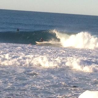 Oceania On Burleigh Beach - Sydney Tourism 27