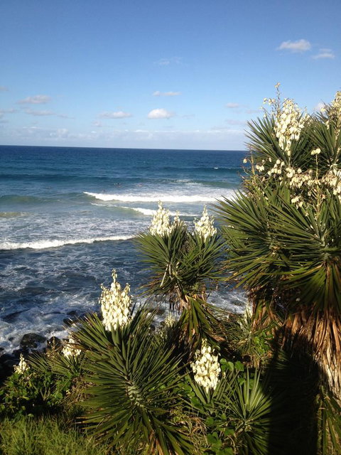 Oceania On Burleigh Beach - Sydney Tourism 23