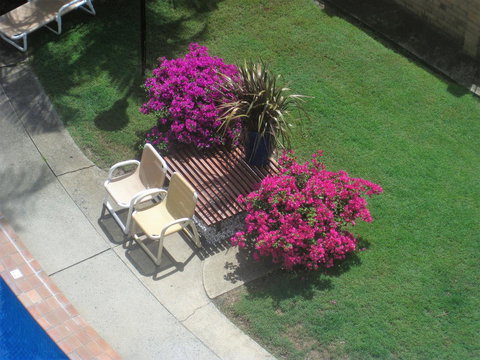 Oceania On Burleigh Beach - Sydney Tourism 29