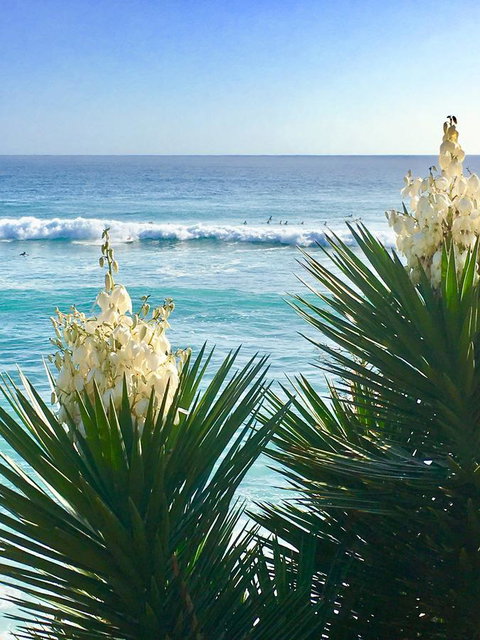 Oceania On Burleigh Beach - Sydney Tourism 21