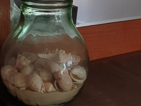 Oceania On Burleigh Beach - Sydney Tourism 30