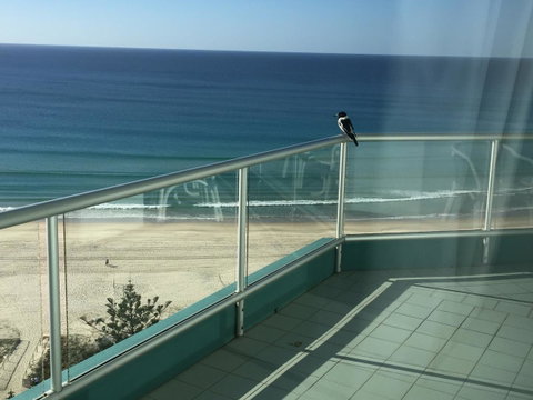 Ocean Plaza Resort - Sydney Tourism 28