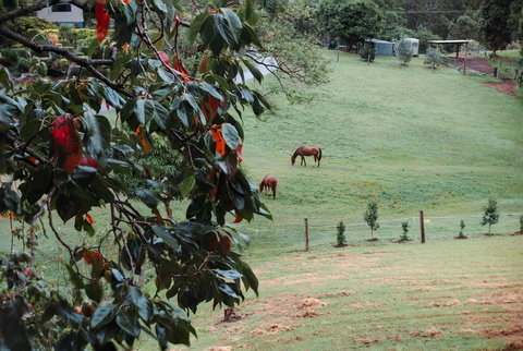 La Casita Banca - Luxury Holiday Home - Sydney Tourism 3