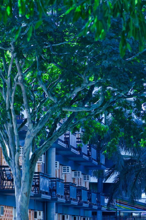 Soho Brisbane - Sydney Tourism 12