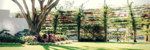 Vine Apartments South Brisbane - Sydney Tourism 19