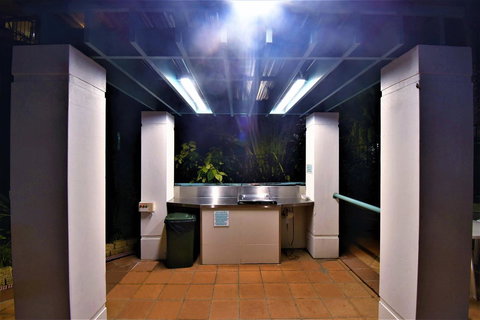 Grande Florida Beachside Resort - Sydney Tourism 40