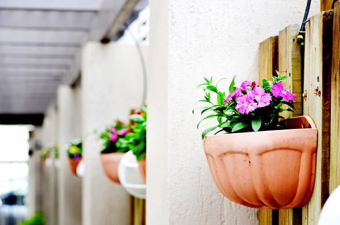 Spring Hill Mews Apartments - Sydney Tourism 12