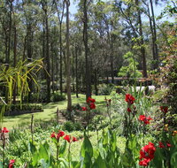 Werekataba - Sydney Tourism
