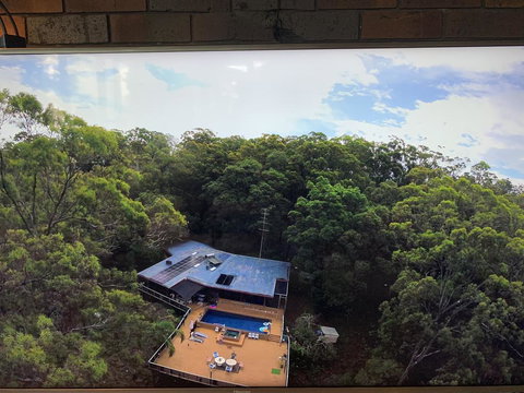 Where The Forest Meets The Sea On The Gold Coast - Sydney Tourism 1