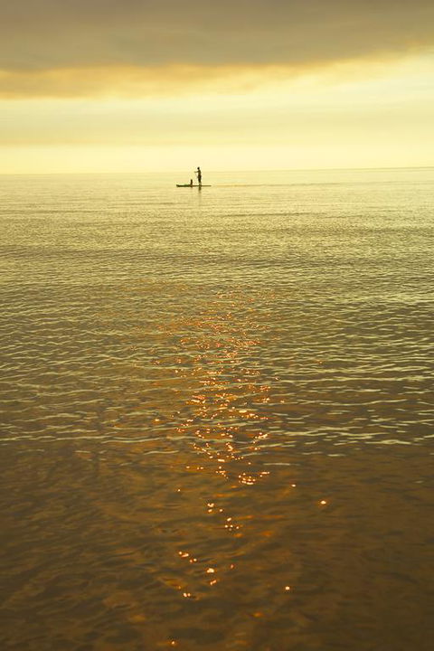 White Caps B&B Apartment - Sydney Tourism 3