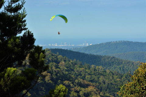 Willow Cabin - Sydney Tourism 1