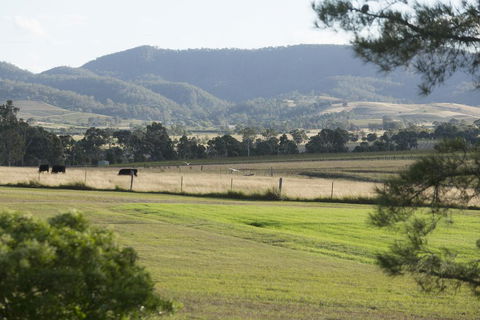 Windarra Lodge - Sydney Tourism 3