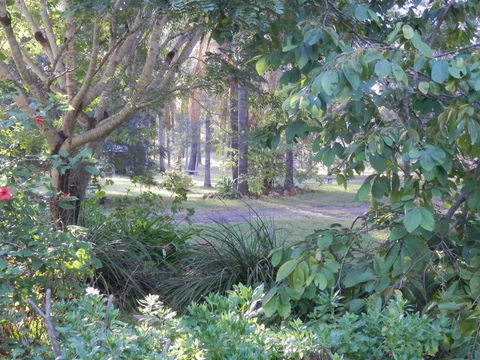 Wondai Hideaway Apartment - Sydney Tourism 1