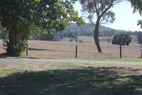 Wonky Stables Holiday Park - Sydney Tourism 2