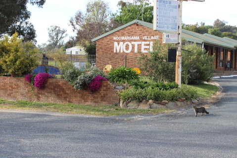 Woomargama Motel - Sydney Tourism 3
