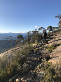 Yours and Theirs Pet Friendly Accommodation