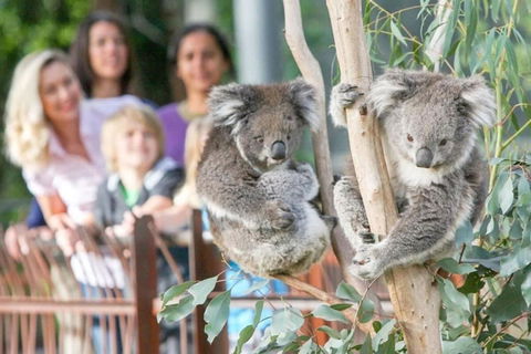 A 3BR Apt Next To Melbourne Zoo FREE Parking - Sydney Tourism 2