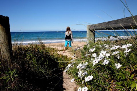 Absolute Beachfront Mollymook - Sydney Tourism 4