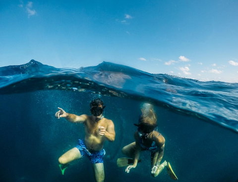 Manta Lodge YHA & Scuba Centre - Sydney Tourism 12