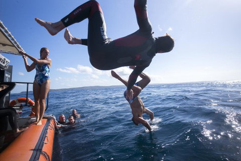 Manta Lodge YHA & Scuba Centre - Sydney Tourism 11