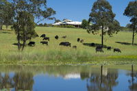 Book Nabiac Accommodation Vacations Sydney Tourism Sydney Tourism