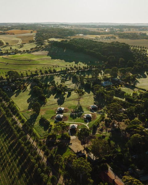 CANVS By CABN Seppeltsfield Barossa - Sydney Tourism 1