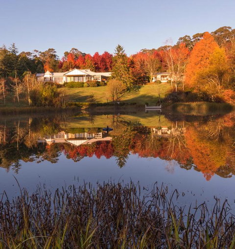Dantosa Blue Mountains Retreat - Sydney Tourism 0