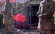 Dantosa Blue Mountains Retreat - thumb 4