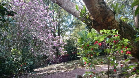 305 Montville - The Artist's Cottage - Sydney Tourism 3
