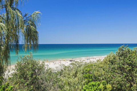 5 Bryan Street - Sydney Tourism 1