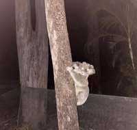 5 mins to Movie world  pet friendly - Sydney Tourism