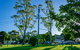 Dorrigo Mountain Holiday Park - thumb 0