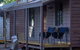 Dorrigo Mountain Holiday Park - thumb 3