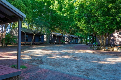 Dorrigo Mountain Holiday Park - Sydney Tourism 2