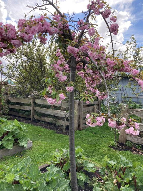 Elm Cottage Barn - Sydney Tourism 2