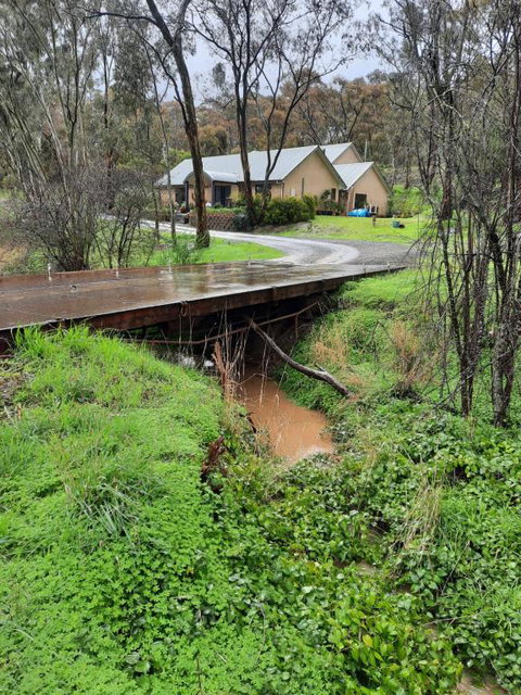 Frogmouth Hollow - Sydney Tourism 4