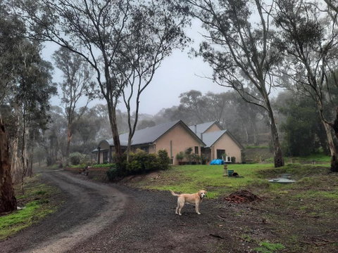 Frogmouth Hollow - Sydney Tourism 0