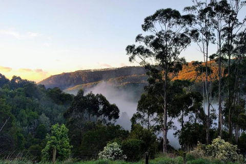 HILLSIDE HOUSE - Sydney Tourism 2