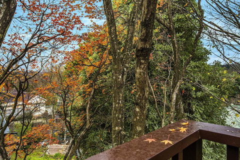 Allambee - Sydney Tourism 2