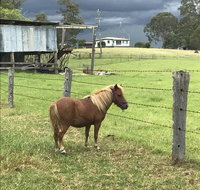 AMs Farm Stay - Sydney Tourism