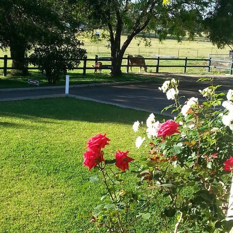Appin Homestay B & B - Sydney Tourism 3