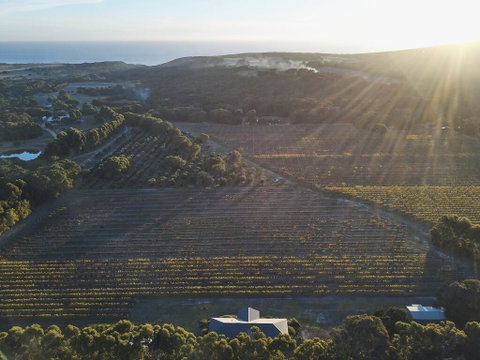 Arimia Estate Guesthouse - Sydney Tourism 1