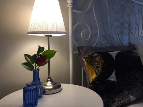 Art Deco Cottage - Sydney Tourism 3